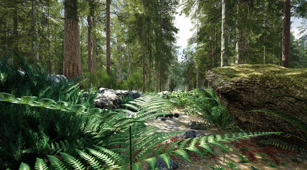A Forest in Mortal Online 2