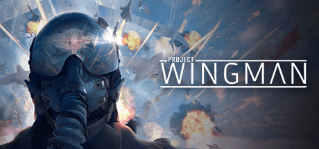 Project Wingman – No Audio Fix