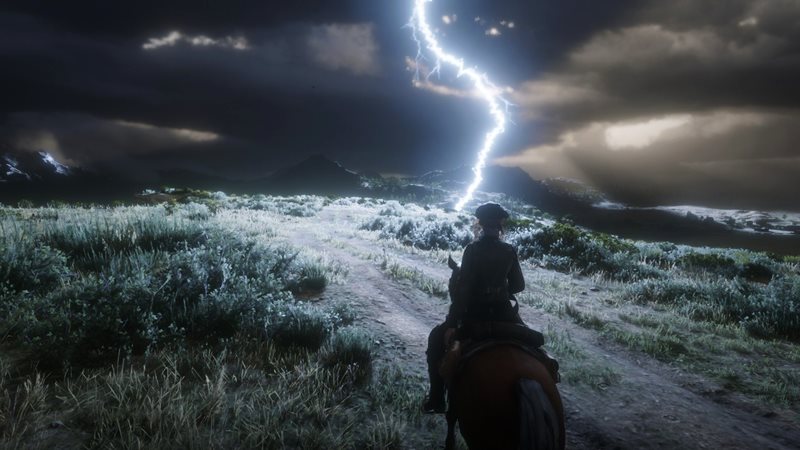 Red Dead Online – Collector Role Guide
